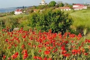 фото Севастополь 